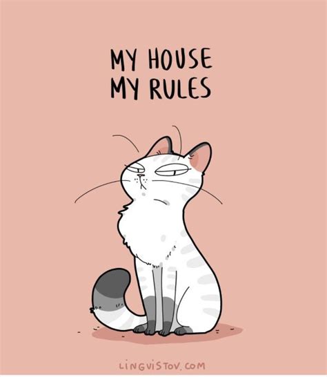 Pin on joking | Cats illustration, Cute cats, Funny cats