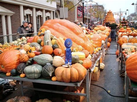 many pumpkins and gourds are on display in the street