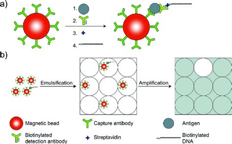 Streptavidin Paramagnetic Beads - BEAD SKIN BRIGHT