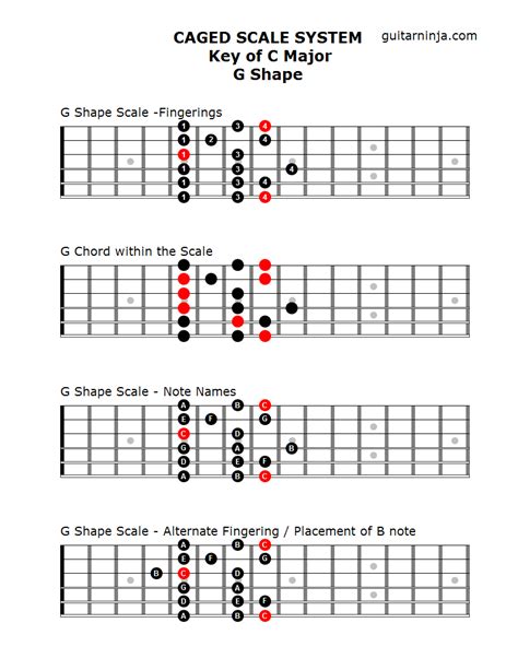 CAGED System for Guitar | Guitar Ninja