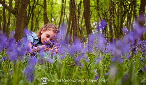 Bluebell Photography — The School of Photography - Courses, Tutorials ...