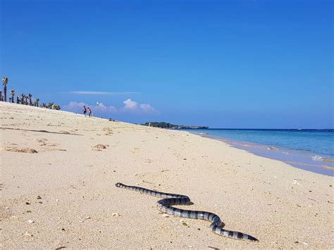 Nusa Dua Beaches : Top 5 Beach Near Nusa Dua You Must Visit! - idbcpr