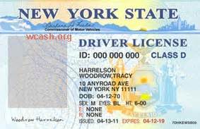 Template New York Drivers License | Template photoshop