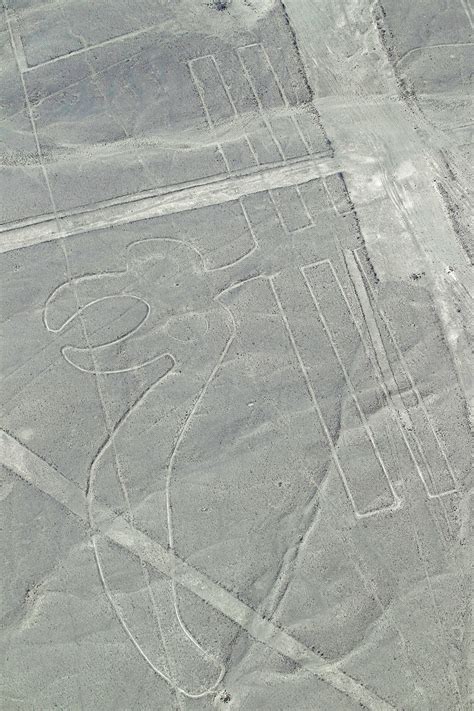 PE – Lines and Geoglyphs of Nasca and Palpa – All About World Heritage Sites