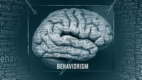 Understanding Behaviorism