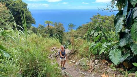 Best Hikes and Trails in Saba National Park | AllTrails