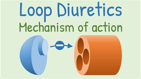 Loop Diuretics Mechanism of Action