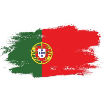 Portugal Flag, Flag, Portugal, Portuguese Flag PNG Transparent Clipart ...