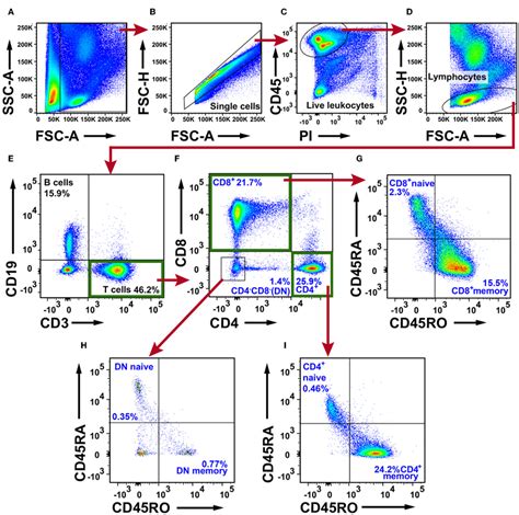 | Flow cytometry analysis of T cells in NSCLC tumor tissue. (A) Gate... | Download Scientific ...