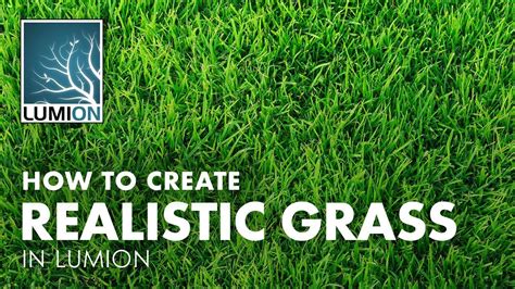 Creating Realistic Grass in Lumion 8.5 - YouTube