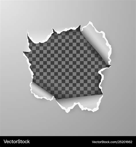 Torn hole in sheet gray paper on transparent Vector Image