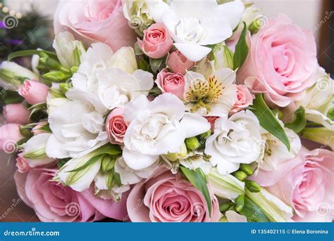 Bouquet of Pink Roses and White Freesia, Flowers Stock Image - Image of white, freesias: 135402115