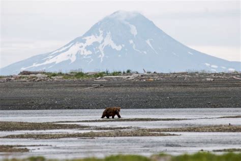 Katmai National Park Alaska-- Katmai National Park is home to Mt ...