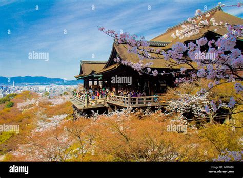 Kiyomizu-dera temple during cherry blossoms in Kyoto Japan Stock Photo ...