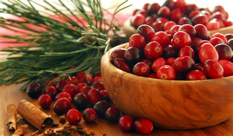 Everything You Should Know About Cranberry Powder - Rainforest Supply