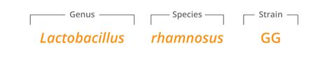 Lactobacillus rhamnosus GG® | Database