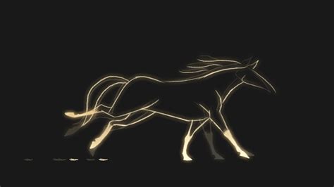 Horse 28 GIF Animation