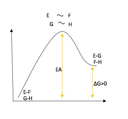 Graph the progress of an endergonic reaction in which EF and | Quizlet