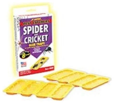 Jt Eaton Spider & Cricket Trap Pack 4 - Traditional - Gardening ...