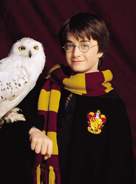 HP1 promo - Harry Potter, Harry Potter Hedwig HD phone wallpaper | Pxfuel