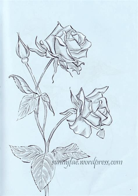 Drawings Flowers With A Brush pen – Sunnyfae