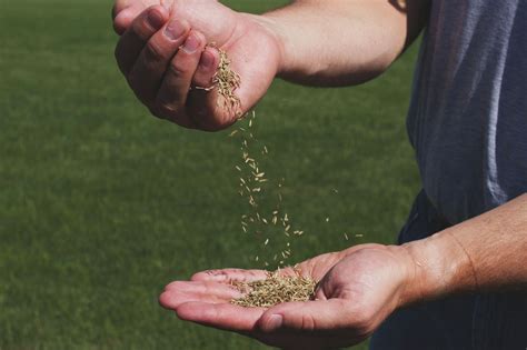 How to take care of your Southeast Texas lawn