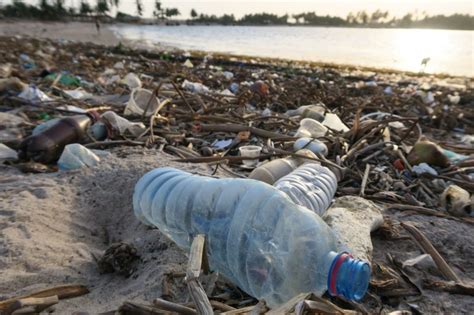 What can we do about global plastic pollution? | Center for Leadership in Global Sustainability ...