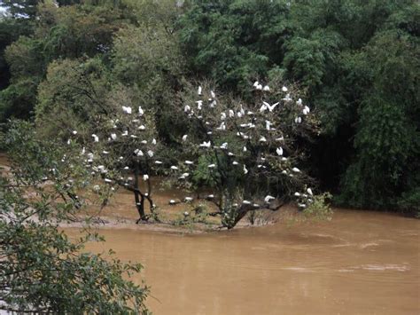 Mandagadde Bird Sanctuary, Shimoga| Mandagadde Bird Sanctuary Photos and Timings