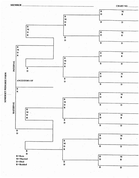 Genealogy Worksheets Forms