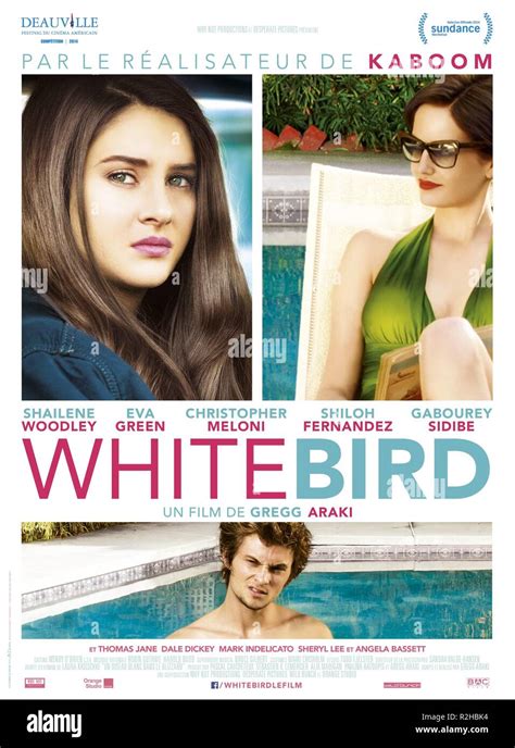 White Bird in a Blizzard Year : 2014 USA / France Director : Gregg Araki Shailene Woodley, Eva ...