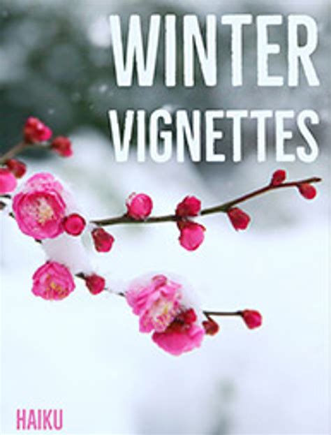 Winter Haiku Poems - WAWAZA