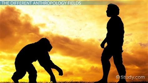 What is Biological Anthropology? - Definition & Subfields - Lesson | Study.com