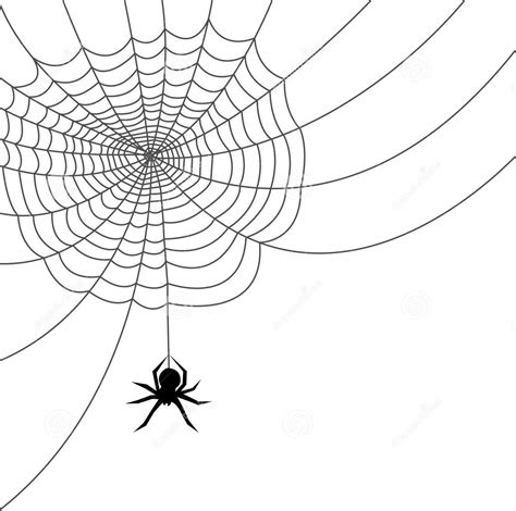 Spider web spiders web clip art clipart clipartcow – Clipartix