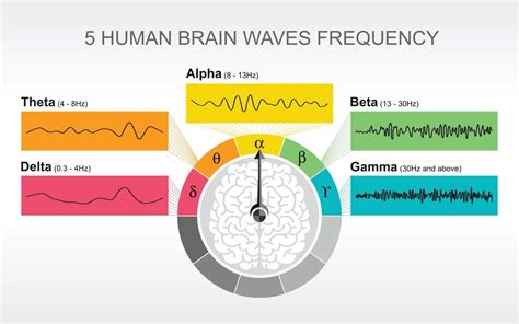 Understanding Brain States and Brain Waves: Alpha, Beta, Theta - Can ...