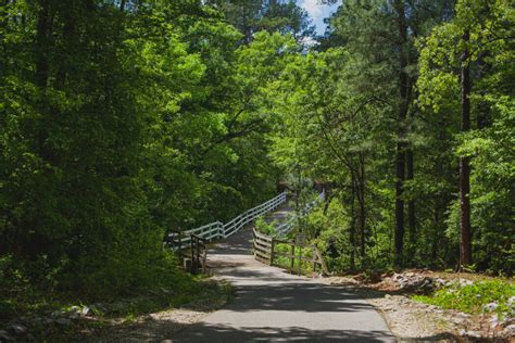 A Detailed Guide For The Cape Fear River Trail In Fayetteville, NC