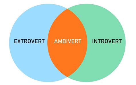 Introvert vs. Extrovert Personality: What's The Difference?