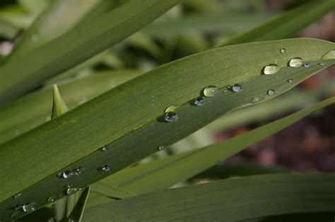 1280x720 wallpaper | water droplets | Peakpx