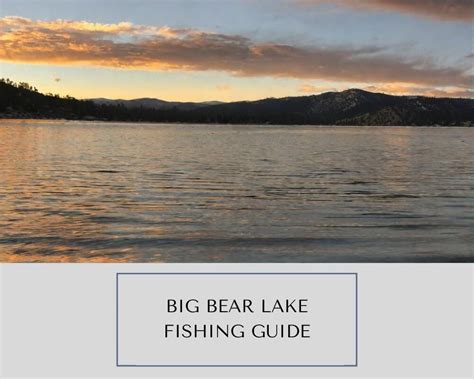 Big Bear Lake Fishing: Best Spots, Species and Charters - Splash Explore