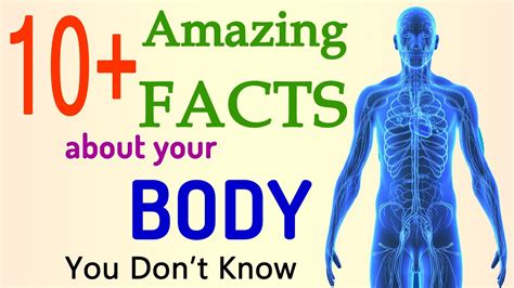 10 Facts About Human Body