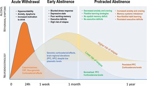 Frontiers | Targeting the Glucocorticoid Receptors During Alcohol Withdrawal to Reduce ...