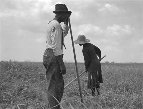 Literature Review: American Sharecropping — Pamela C. Nogales C.