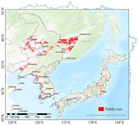 ESSD - NESEA-Rice10: high-resolution annual paddy rice maps for ...