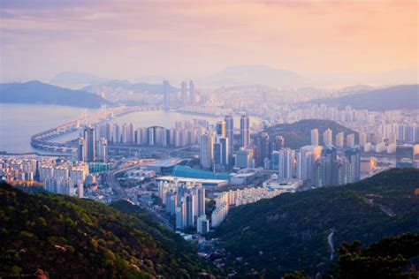 2,800+ Busan City Skyline Stock Photos, Pictures & Royalty-Free Images ...