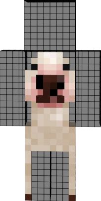 walter dog skin 2 - player Skin - NovaSkin