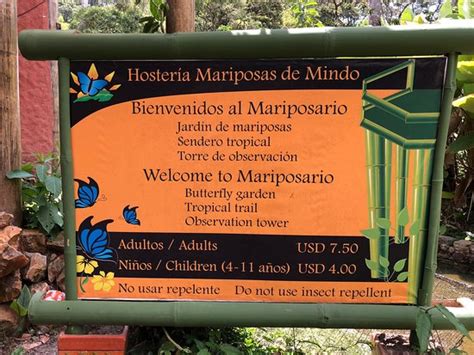 Mariposas de Mindo - Butterfly Garden - 2019 All You Need to Know ...