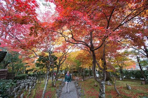 Kyoto Autumn Leaves - When to Go and Best Places to Visit ...