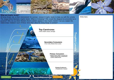 Trophic Levels (Marine) - NACC - Northern Agricultural Catchments Council