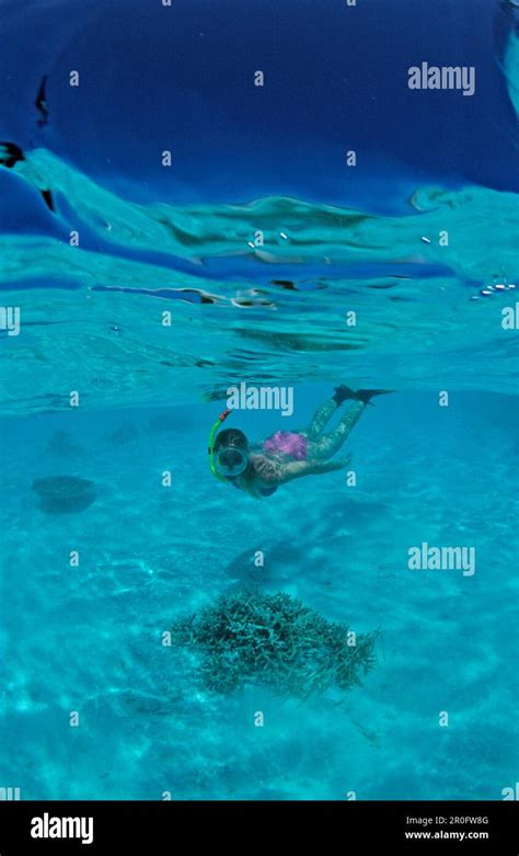 Snorkeling in Lagoon, Maldives, Indian Ocean, North-Male Atoll Stock ...