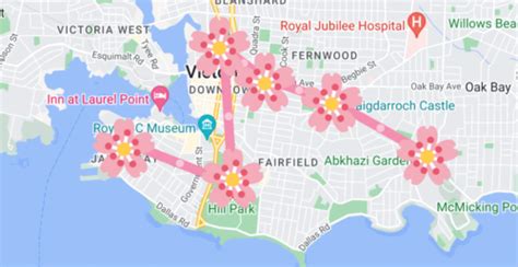 Victoria cherry blossom map takes you to the city's best blooms | Curated