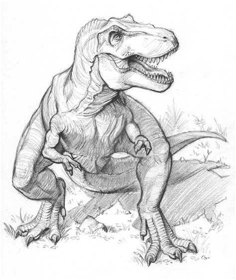 T Rex Drawing at PaintingValley.com | Explore collection of T Rex Drawing